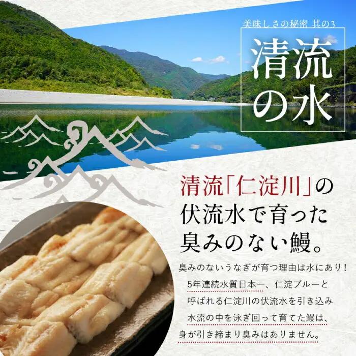【最速発送】鰻 完全無投薬鰻 仁淀川鰻蒲焼き  中 (約150g×4尾 )  / 鰻 鰻蒲焼 鰻蒲焼き [ATBE019]　スピード 最短 最速 発送