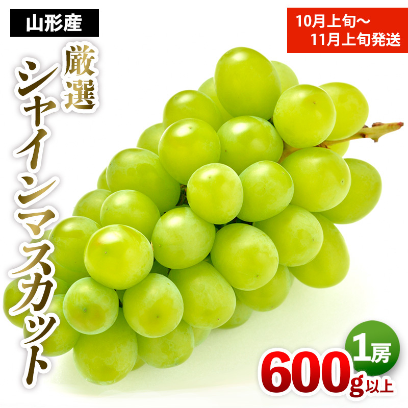 厳選シャインマスカット 秀品 600g以上 1房入 1箱 [後半] 【令和8年産先行予約】FS25-679