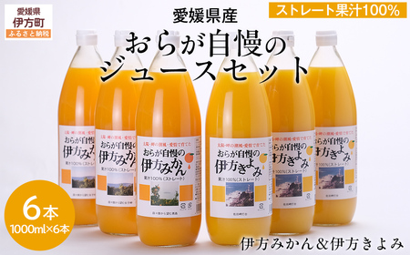 【先行予約】【愛媛県産】おらが自慢のジュースセット（1000ml×6本/みかん3、きよみ3） ストレート果汁100％ 無添加・無着色（2026年4月より順次発送） 【ふるさと納税 人気 おすすめ ランキング みかん ミカン 蜜柑 ゼリー 清見タンゴール セット 詰合せ クリエイト伊方 愛媛県 伊方町 送料無料】 IKTI014
