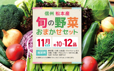 【先行受付】【11月】信州松本産・旬の野菜 おまかせセット（約10～12品）