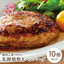 【ふるさと納税】乳豚粗挽きハンバーグ10個 豚肉工房うめちく 豚 ブランド肉 ギフト 国産 送料無料 U04-08