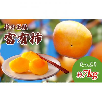 ふるさと納税 綾川町 柿の王様 富有柿 7kg[54010103] |  | 01