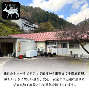 鹿肉モモブロック 1kg シンタマ ジビエ 国産 祖谷 地美栄【 ジビエ 】