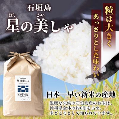 ふるさと納税 石垣市 【定期便3回】3ヶ月連続お届け 石垣島産 星の美しゃ(ほしのかいしゃ)15kg(5kg×3回) |  | 01