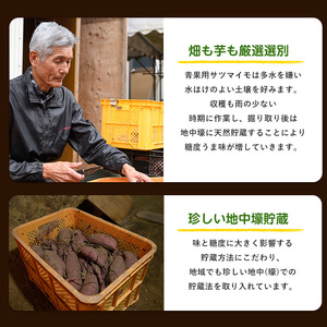 【2025年11月上旬頃～順次発送】＜訳あり・不揃い＞さつまいも3種(紅はるか・シルクスイート・安納芋)詰合せ10kg(らくと農園/013-1132) さつまいも おやつ さつま芋 焼芋 やきいも 焼