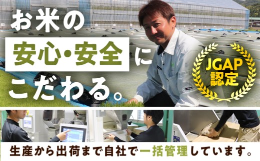 【令和7年産】 【訳あり】 【数量限定】 家計応援米 10kg×1袋 / 米 10kg コメ こめ ブランド米 つきあかり あきさかり コシヒカリ ハナエチゼン にじのきらめき 令和7年産 訳あり米 