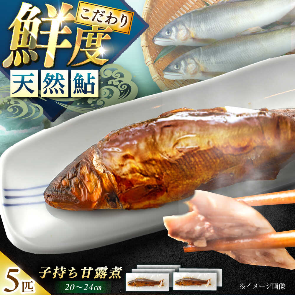 【ふるさと納税】子持ち天然あゆの甘露煮 5匹セット / あゆ 天然 鮎 甘露煮 あゆ 甘露煮 保存 プレゼント お取り寄せ /恵那市/恵那物産館[AUFS005]