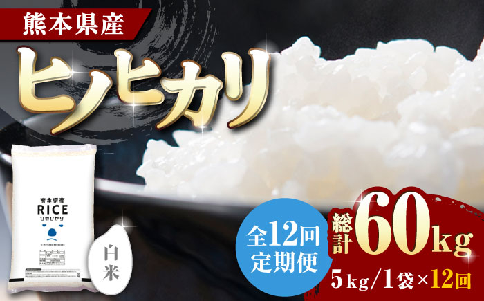 
            【全12回定期便】 ヒノヒカリ 白米 5kg【有限会社  農産ベストパートナー】5kg 精米 特A ヒノヒカリ ひのひかり コメ 米 お米 熊本県 熊本県産 ごはん 白米 定期 [ZBP090]
          