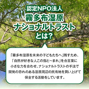 霧多布湿原を中心とする環境保全活動への寄附　霧多布湿原を中心とする環境保全活動への寄附 2,000円 寄附 支援 寄付のみ 返礼品無し 寄付金 霧多布湿原 国定公園 花の湿原 景観保全 動植物の保全 