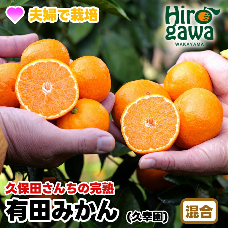 【ふるさと納税】 完熟 有田みかん 2kg 5kg 7kg 10kg サイズ混合 久幸園 ※11月より順次発送予定 / 温州みかん みかん 完熟 フルーツ 柑橘 濃厚 甘い 甘味 果汁 旬 秋 おすすめ 本場 和歌山 有田 広川 ホンマモン //mandarin //jcm