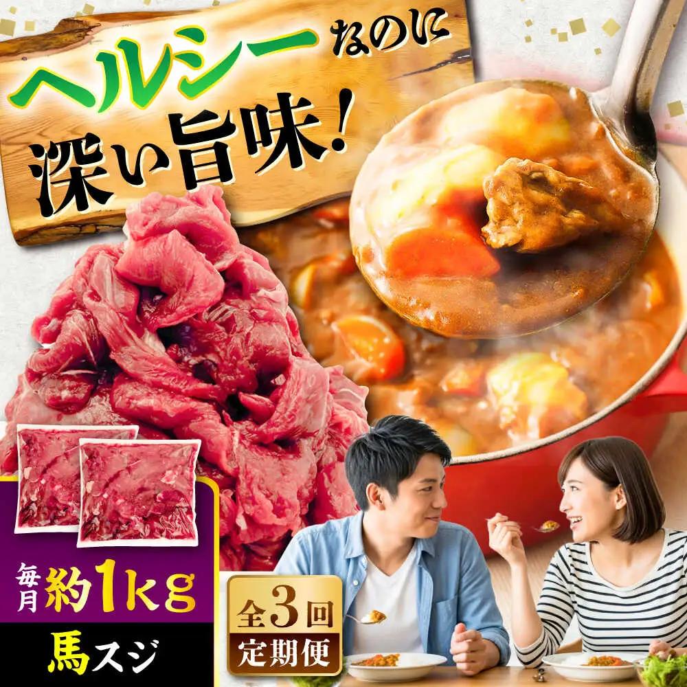 全3回定期便 馬スジ 約1kg 馬肉 馬肉 BHCY042