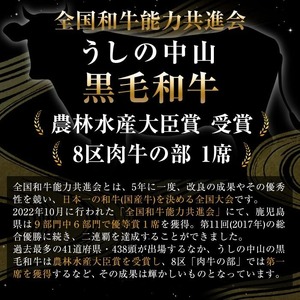 うしの中山 赤身焼肉用500g×1P 黒毛和牛 和牛 肉 牛肉 国産 九州産 鹿児島県産 焼肉 赤身 日本一 b0-201