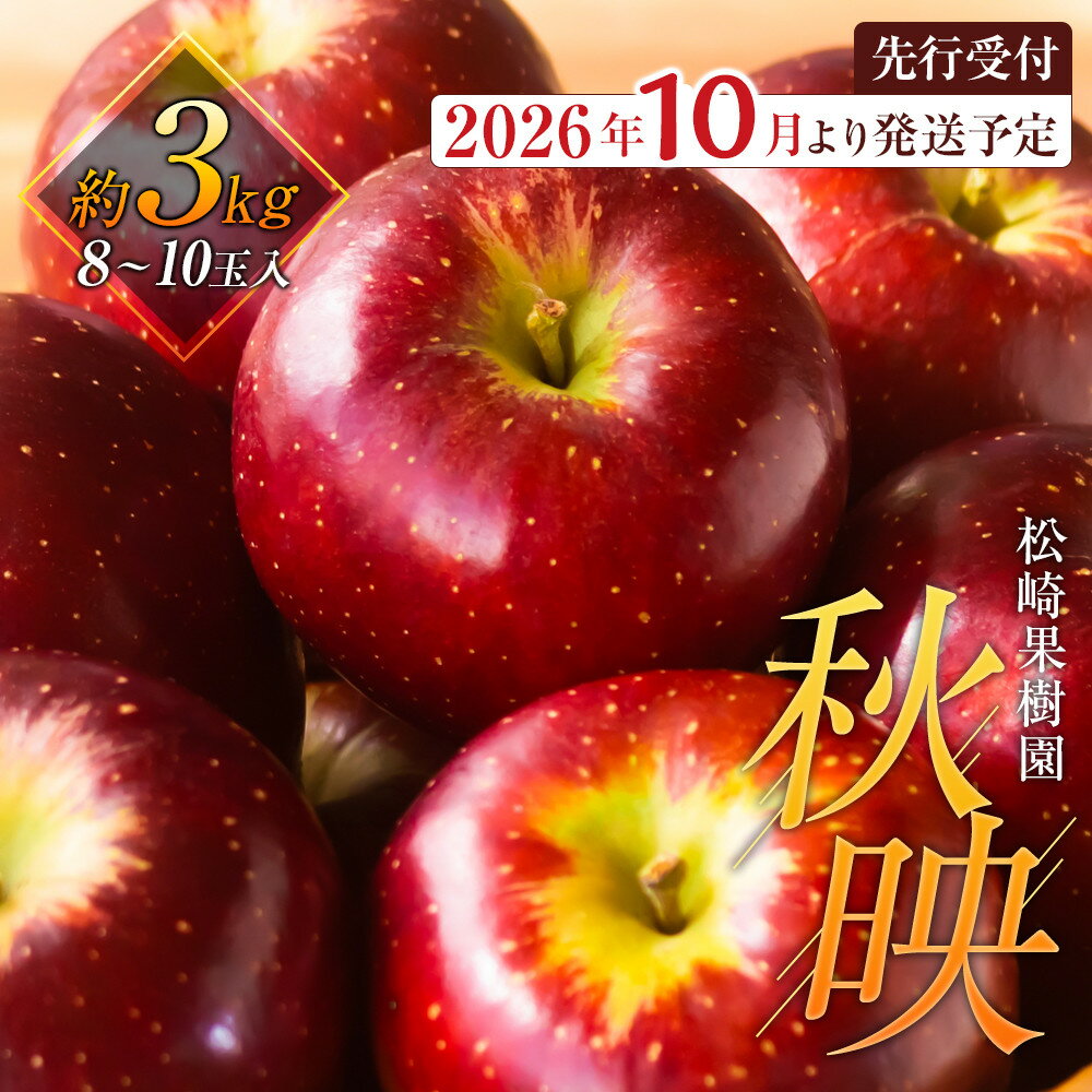 【ふるさと納税】【2026年発送／先行予約】「秋映」約3kg（8～10玉）【松崎果樹園】 | フルーツ 果物 くだもの 食品 人気 おすすめ