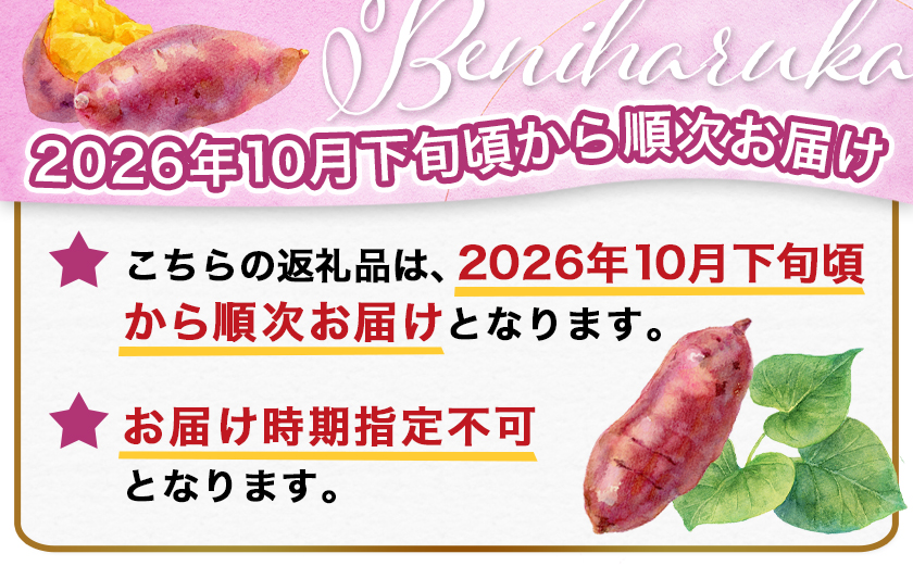 【先行受付】都城産 長期熟成紅はるか 3kg≪2026年10月下旬頃より順次お届け≫_LE-I2-001-3kg-10