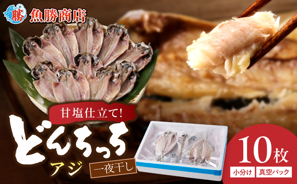 どんちっちあじ一夜干し10枚セット 魚介類 魚 干物 一夜干し あじ 鯵 セット 【136_0754】
