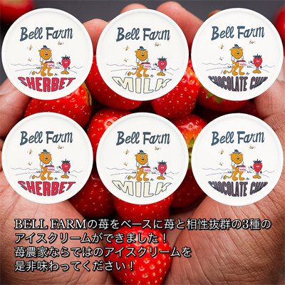 イチゴ農家 Bell Farm のこだわりイチゴ アイスクリーム詰め合わせセット　(3種×2個)6個【配送不可地域：離島】