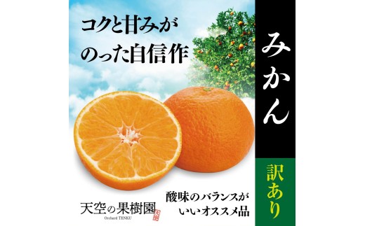 【先行受付】天空の果樹園から届く そらみかん (10kg)【訳あり】＞【95-13】【1757735】 YWTAQ017