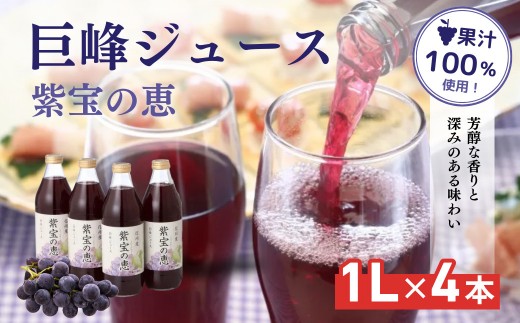 
                  信州産 巨峰ジュース 果汁100％　「紫宝の恵」 (1L×4本) |  ジュース 巨峰 信州産 紫宝の恵 ストレート 人気 おすすめ 果汁100% ぶどう ブドウ 葡萄 飲料 ドリンク 果物 定期便 送料無料 長野県 長野市 信州 信濃 ふるさと納税
                