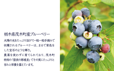 茂木産ブルーベリーを使用した　ブルーベリーワイン360ml×2本セット | ワイン ワイン ワイン  ワイン  ワイン  