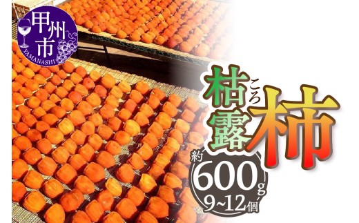 厳選！山梨県甲州市産 ころ柿 枯露柿 甲州百目 小3号箱 約600g【2026年度発送】（THR）B-806
