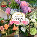 【ふるさと納税】 定期便 3回 季節のお花を使った フラワーアレンジメント 花 かご付き 生花 お任せ ギフト プレゼント 飾り 愛知県 田原市 渥美半島