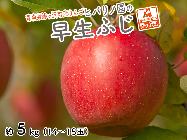 りんご 青森 早生 ふじ リンゴ 約 5kg （14～18玉） 青森県 鰺ヶ沢町産 ヒバリノ園 フルーツ 果物 白神山地 早生ふじ 弘前 林檎 2024 ※発送予定：2024年9月25日～10月5日※オンライン決済のみ