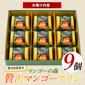 マンゴースイーツ マンゴー農家の贅沢マンゴープリン9個入 マンゴーの森 A-309 マンゴープリン マンゴープリン