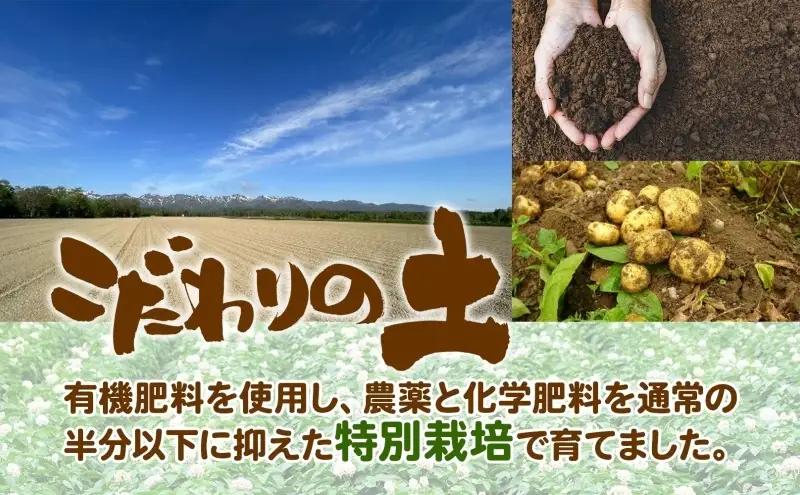 ＜2026年秋以降出荷＞ 北海道 じゃがいも 男爵 M～L 約17kg ジャガイモ 馬鈴薯 だんしゃく 芋 いも イモ ポテト 常備 野菜 根菜 農作物 お取り寄せ 産地直送 北海道産 畑農場 送料無