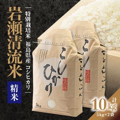 ふるさと納税 須賀川市 【地元ブランド】令和7年産岩瀬清流米(精米　10kg)