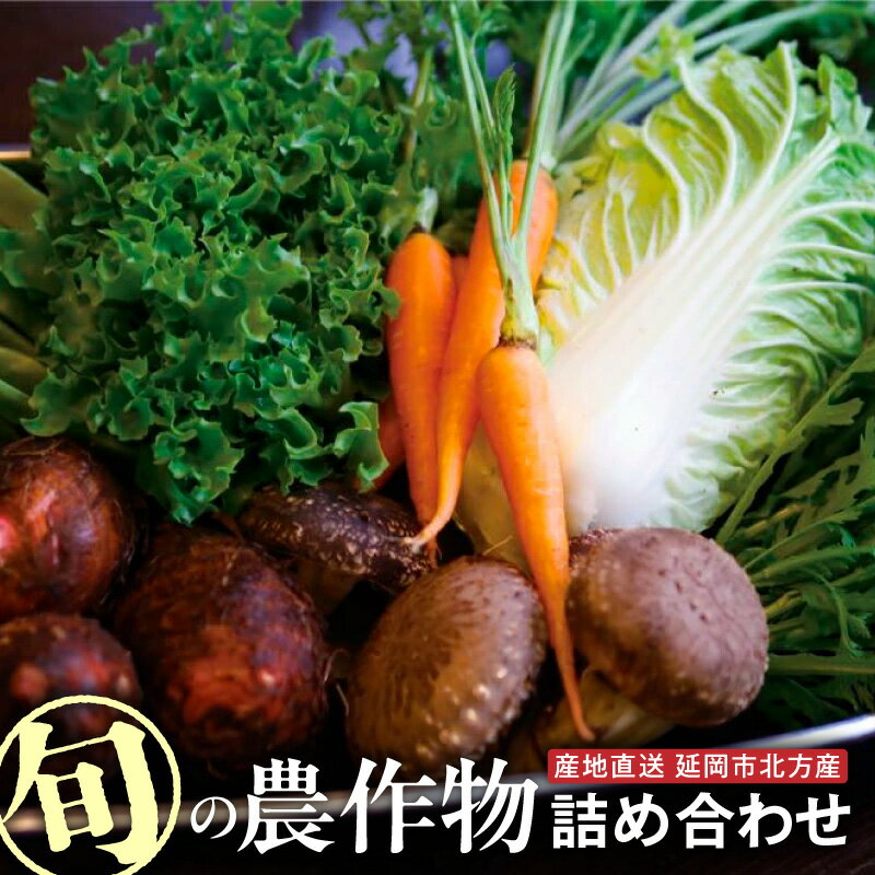 【ふるさと納税】北方産 旬の農作物詰め合わせセット 野菜 果物 お茶 宮崎県 延岡市