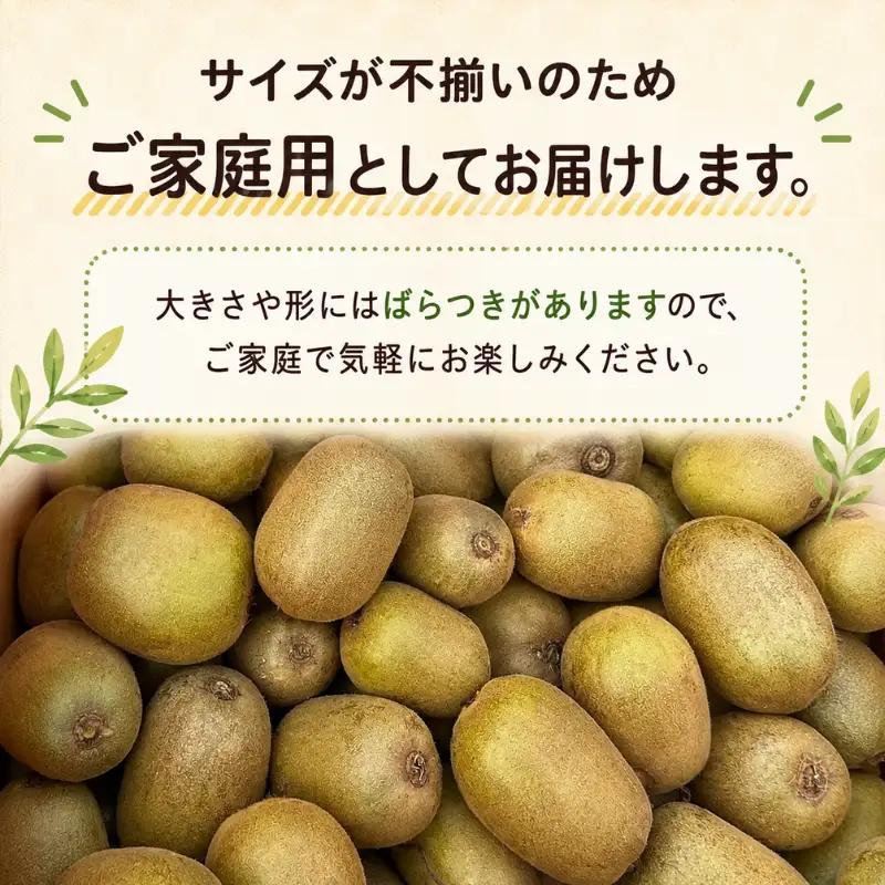 【家庭用】キウイ 黄金甘露 1kg 山口県 阿武町産 数量限定 国産 果物 黄色キウイ《2026年9月中旬～10月中旬発送》