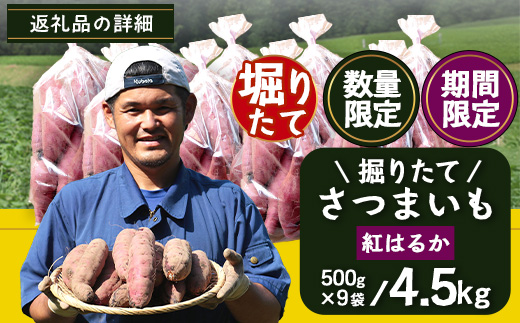 【期間限定！数量限定！】掘りたて さつまいも 紅はるか 4.5kg (500g×9袋) SSサイズ (自宅で簡単レシピ付き）FR-7 | 秋の味覚 2026年秋収穫 新物 さつまいも サツマイモ 感動サツマイモ 焼き芋 べにはるか 小ぶり 野菜 おやつ おかず お弁当 煮物 芋ごはん 味噌汁 産地直送 鹿児島県 南大隅町 株式会社フォレスト