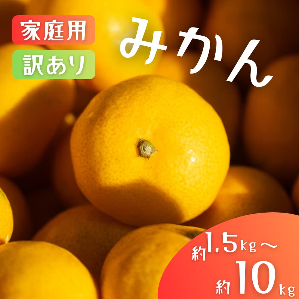 【ふるさと納税】 訳あり＆家庭用 みかん / 手選別 温州みかん 和歌山 甘い 【選べる容量】約1.5kg・4.5kg・6kg・8kg・10kg ※2025年11月上旬～2026年2月中旬ごろに順次発送