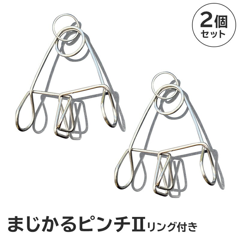 【ふるさと納税】まじかるピンチ2 リング付 2個セット ｜ 1000円 ステンレス アイデア 便利 簡単 耐久性 新生活 洗濯 家事 タオル バスタオル 国産 シンプル 洗濯バサミ ピンチ 生活雑貨 丈夫 長持ち 洗濯グッズ 職人 交換用 岐阜県 可児市