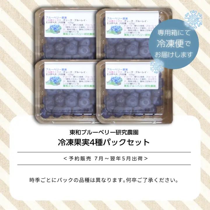 《2026年7月以降順次発送》東京農工大学名誉教授「横山　正」ブランドのブルーベリー冷凍果実500g（4パック）セット（品種おまかせ） 【東和ブルーベリー研究農園】