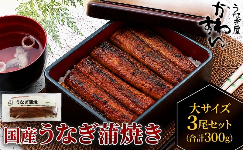 国産うなぎ  蒲焼き 大サイズ 3尾セット(合計300g) タレ付き 国産 うなぎ ウナギ 鰻 蒲焼 かば焼き 3尾 セット 惣菜 冷凍