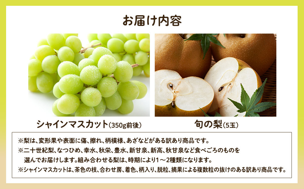 955.【先行予約】【訳あり】シャインマスカット（350ｇ前後）と旬の梨（5玉）セット≪ぶどう、マスカット、ブドウ、葡萄、なし 果物 フルーツ くだもの 鳥取県北栄町≫※8月下旬頃～9月中旬頃に順次発