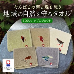 地域の自然を守るタオル やんばるの自然を想う 5枚セット 今治タオル【1606893】