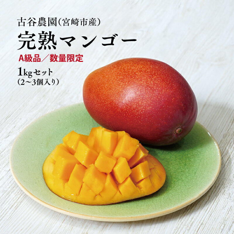 【ふるさと納税】A級品 古谷農園 宮崎完熟マンゴー 1kg (2～3個入り) 旬 トロピカル フルーツ 果物 宮崎県産 化粧箱入り