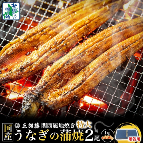 【贈答用】五郎藤 関西風地焼き 国産有頭旨鰻 250g×2尾 計約500g 特大 うなぎ ウナギ 蒲焼き 炭火 015B385-1