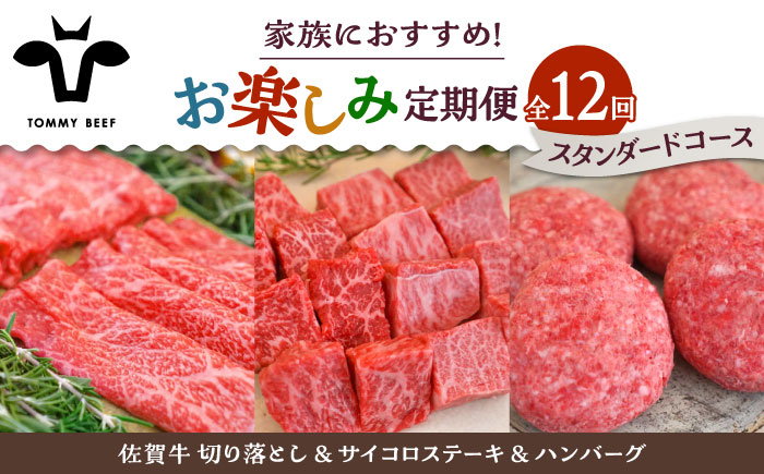 
            【牧場直送】【12回定期便】佐賀牛 少人数 家族向け お楽しみ 定期便【佐賀セントラル牧場】佐賀県産 牛肉 お肉 肉 切り落とし ステーキ ハンバーグ 食べ比べ 詰め合わせ 九州 佐賀県 白石町 [IAH217]
          