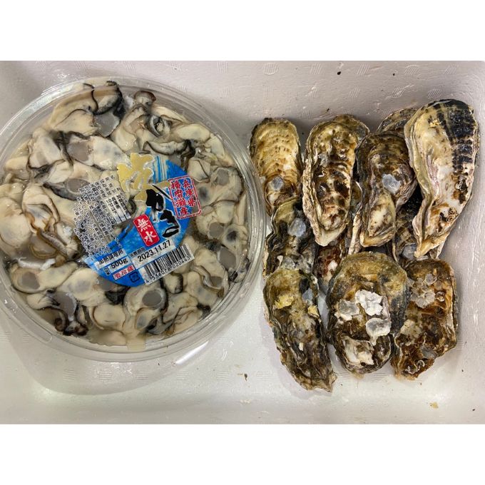 アラジン グラファイトミニグリラー 播磨灘産 生かき 12個 セット CAG-MG7A G