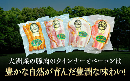 【全3回定期便】秒でプラスもう一品！ブランドポーク『オズの箱入り娘』使用！ベーコンとウィンナーセット（大）　愛媛県大洲市/株式会社オズメッセ[AGAZ022]