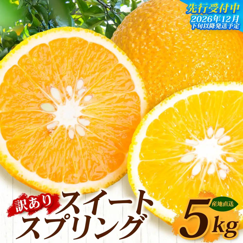 【訳あり】≪先行予約・数量限定≫鹿児島県南大隅産スイートスプリング 約5kg ID-12 ｜訳あり 訳アリ スイートスプリング すいーとすぷりんぐ 柑橘 カンキツ 柑橘類 詰め合わせ 産地直送 おすすめ 人気 鹿児島県 南大隅町