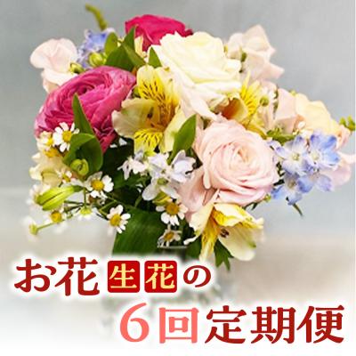 ふるさと納税 倉吉市 お花(生花)の6回定期便
