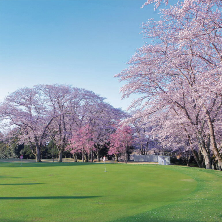 【ふるさと納税】桜の宮ゴルフ倶楽部 ゴルフプレ－補助券 5000円分