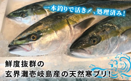 【1/16～3月末お届け】天然 寒ブリ（一本丸ものサイズ8キロ台 半身ブロック）《壱岐市》【壱岐島 玄海屋】 [JBS098] 70000 70000円 7万円 コダワリブリ・ぶり こだわりブリ・ぶり