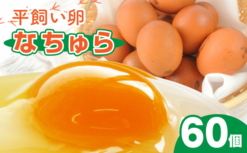 
            平飼い卵 なちゅら 60個 KJF0206
          