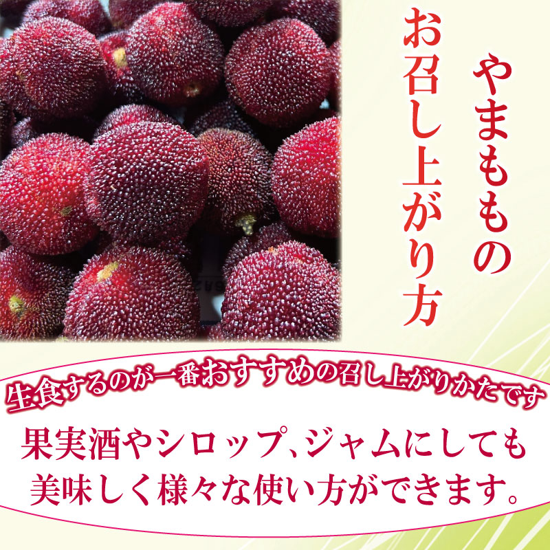 【先行予約】やまもも 400g 2026年6月下旬より順次発送 小分け パック 季節 フルーツ レア ベリー 山桃 健康 ジャム 果実酒 おやつ お菓子 スムージー 小松島市 国産