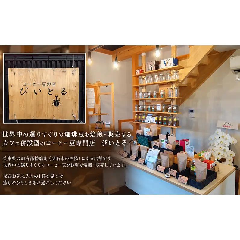 スペシャルティコーヒー豆 (100g×3袋)自家焙煎※浅～深煎り３カ国の豆の組合せセット【粉に挽いて袋入り】【郵便受けへのポスト投函でお届けする商品】